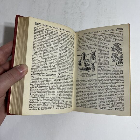 Funk and Wagnalls New Standard Encyclopedia 1931 1934 Vol XV Haggard to Hovey - Picture 8 of 15